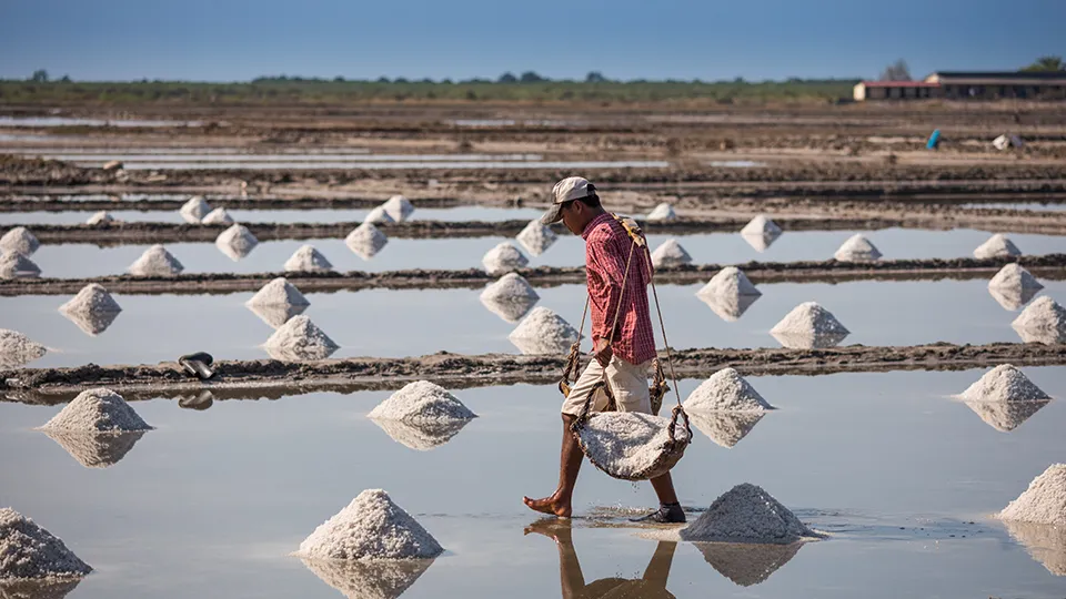 A man in a salt pan carrying salt in a shoulder pole basket